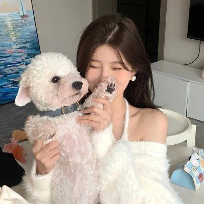 所有的猫都是灰色